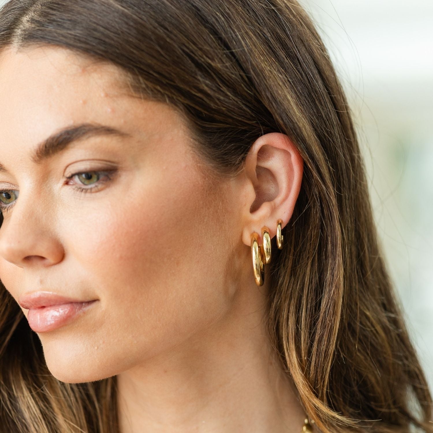 The Perfect Hoop Earrings - Splendid Iris