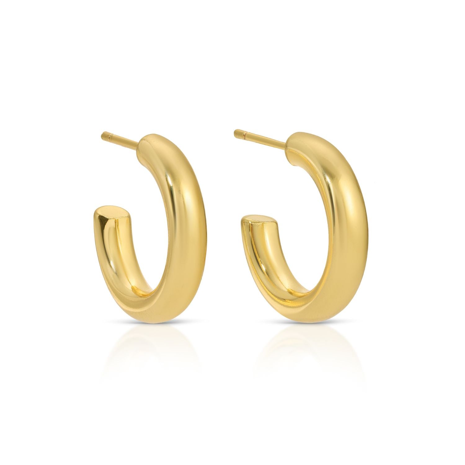 The Perfect Hoop Earrings - Splendid Iris