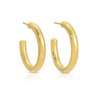 The Perfect Hoop Earrings - Splendid Iris