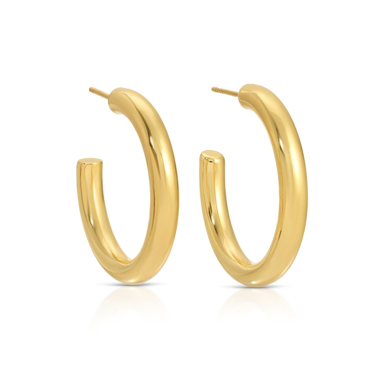 The Perfect Hoop Earrings - Splendid Iris