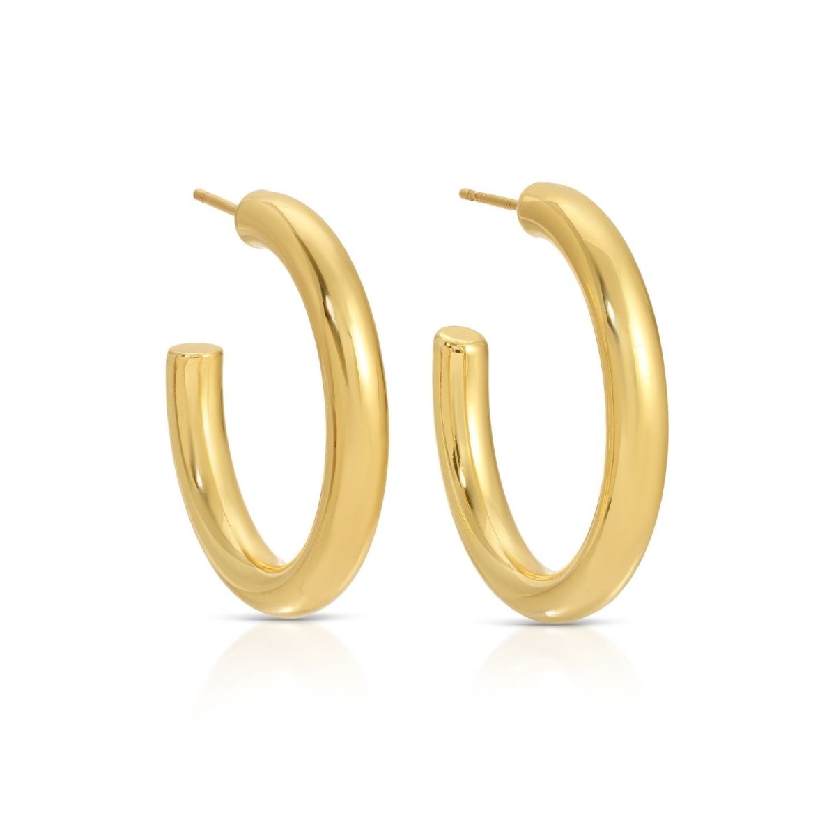The Perfect Hoop Earrings - Splendid Iris