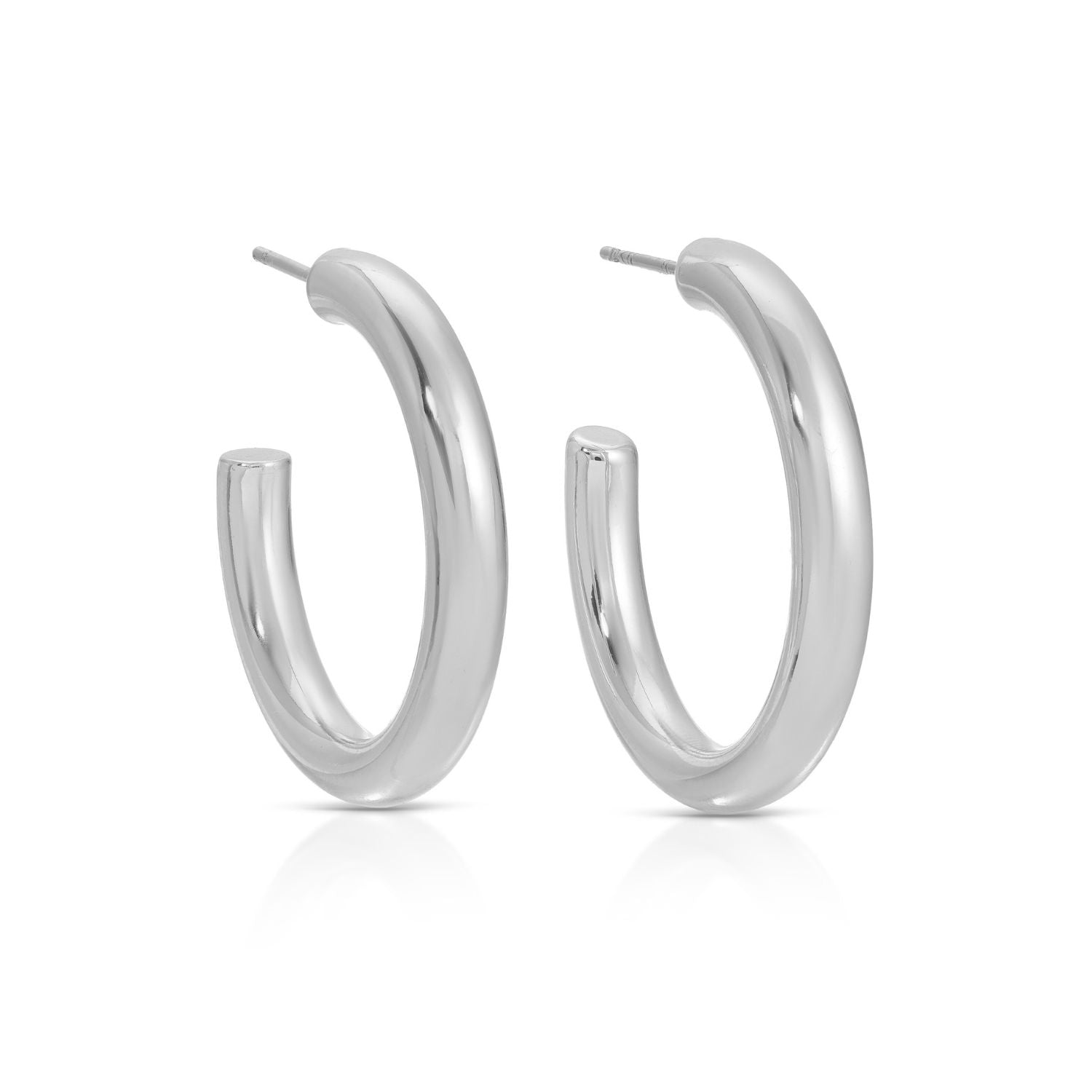 The Perfect Hoop Earrings - Splendid Iris