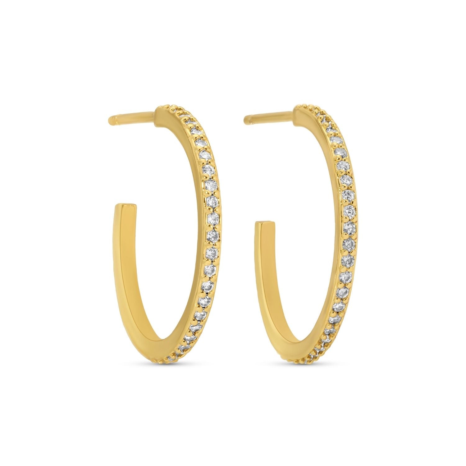 Pave Hoops - Splendid Iris