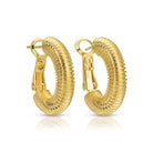 Coil Lever Back Hoops - Splendid Iris