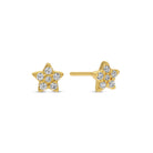Flower Velvet Stud Gift Set - Splendid Iris