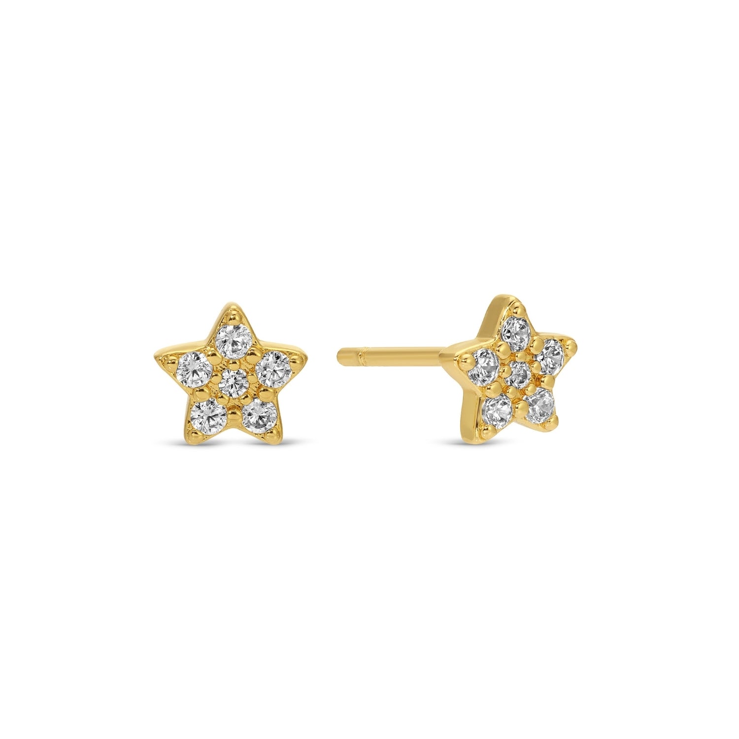 Flower Velvet Stud Gift Set - Splendid Iris