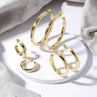 The Perfect Hoop Earrings - Splendid Iris