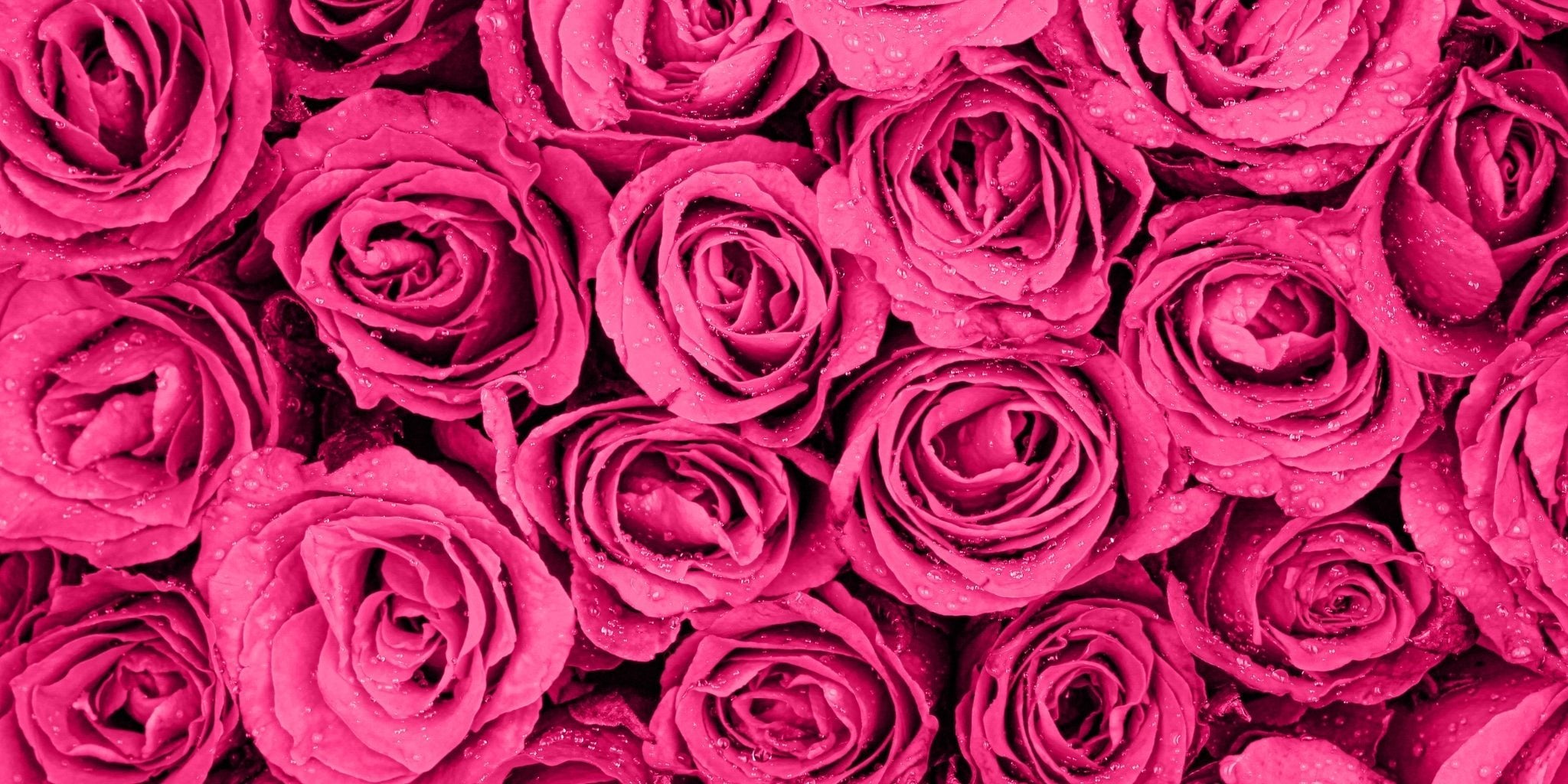 Top Picks for Valentine's Day - Splendid Iris