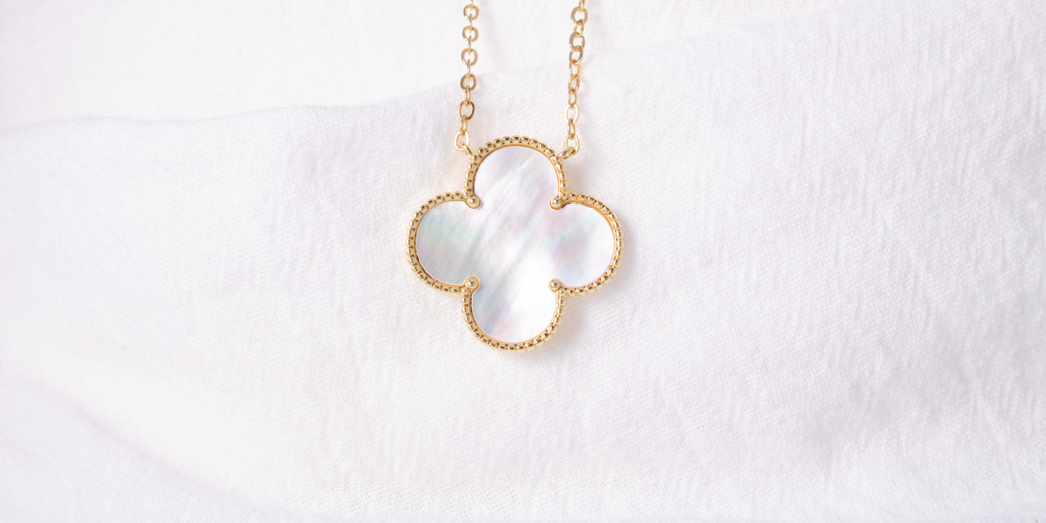Wedding Collection - Splendid Iris