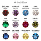 Birthstone Solitaire Necklace - Splendid Iris