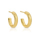 The Perfect Hoop Earrings - Splendid Iris