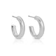 The Perfect Hoop Earrings - Splendid Iris