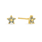 Delicate Flower Studs on Velvet Tag - Splendid Iris