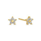 Delicate Flower Studs on Velvet Tag - Splendid Iris
