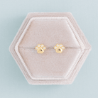 Paw Studs on Velvet Tag - Splendid Iris