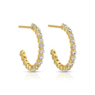 Shimmering Delicate CZ Hoops - Splendid Iris