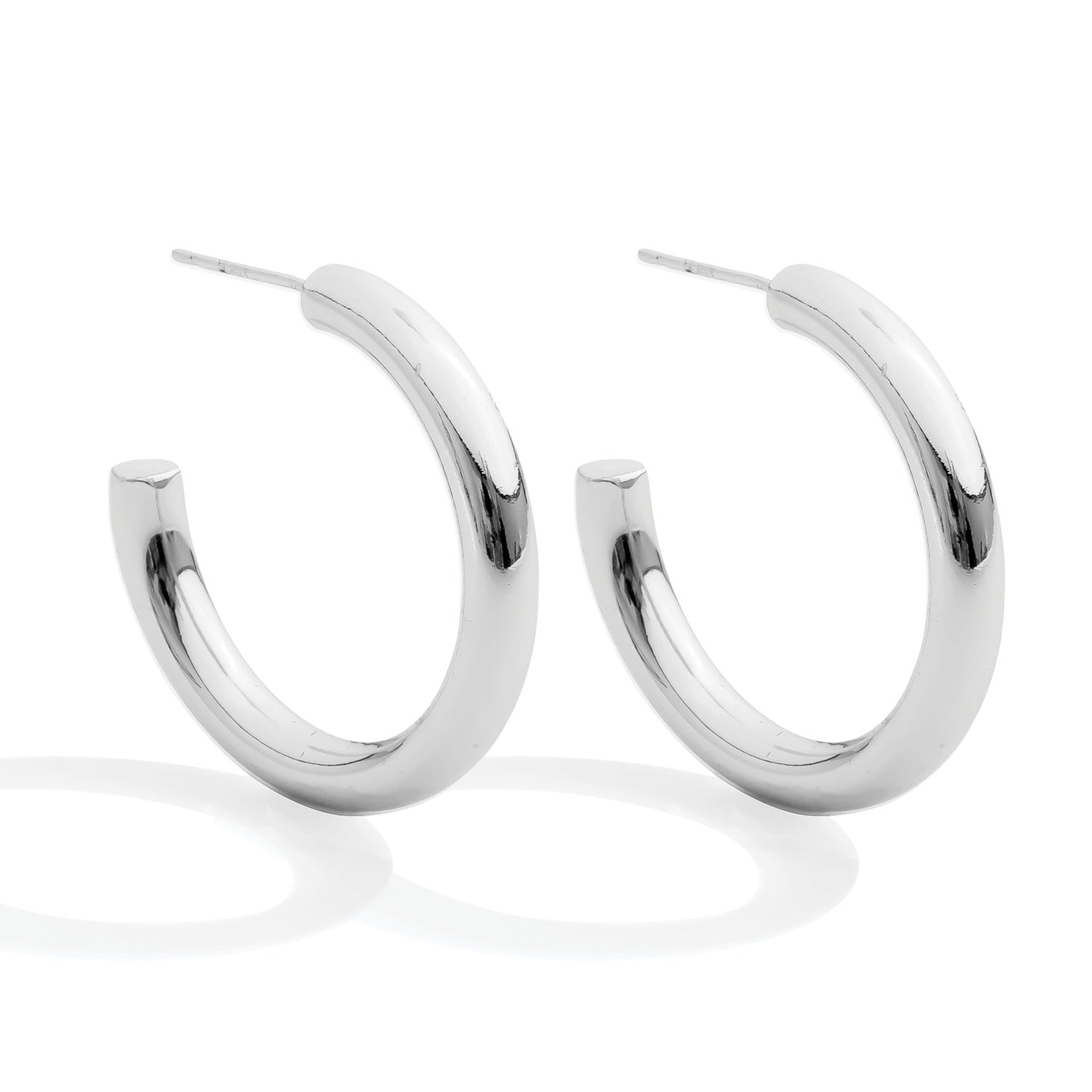 The Perfect Hoop Earrings - Splendid Iris