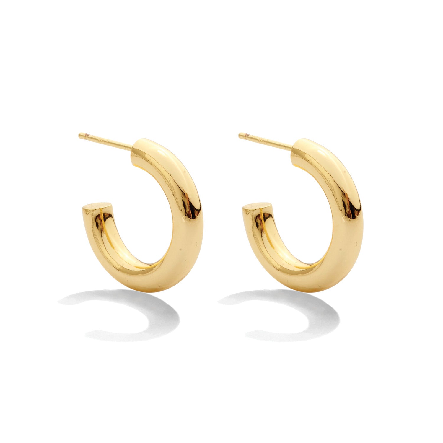 The Perfect Hoop Earrings - Splendid Iris