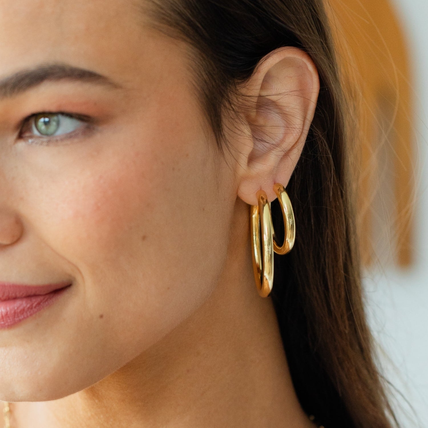 The Perfect Hoop Earrings - Splendid Iris