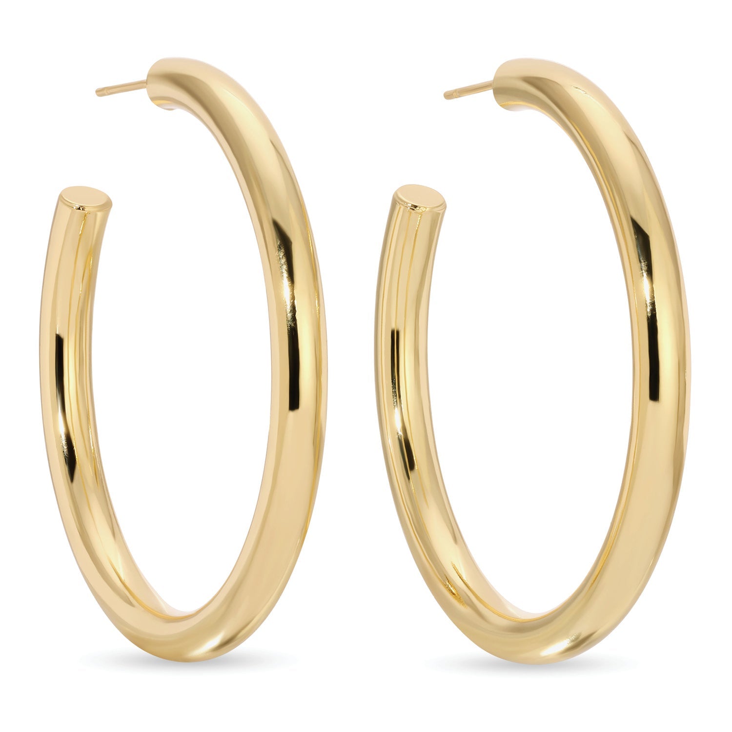 The Perfect Hoop Earrings - Splendid Iris