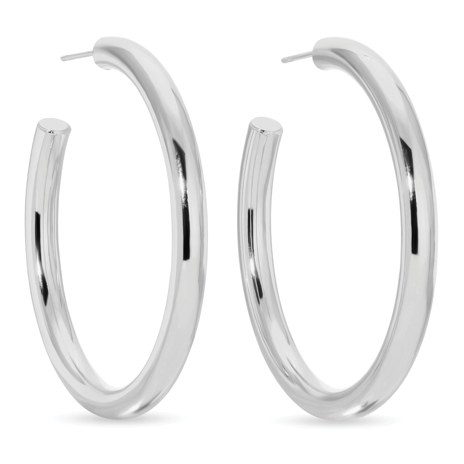 The Perfect Hoop Earrings - Splendid Iris