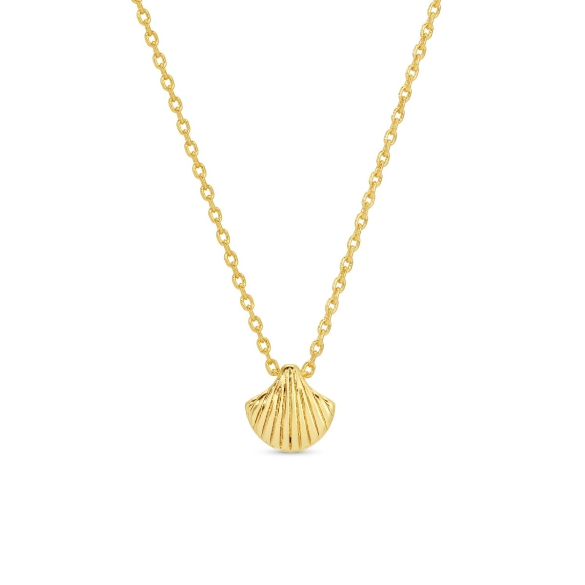 Sweetest Shell Necklace - Splendid Iris