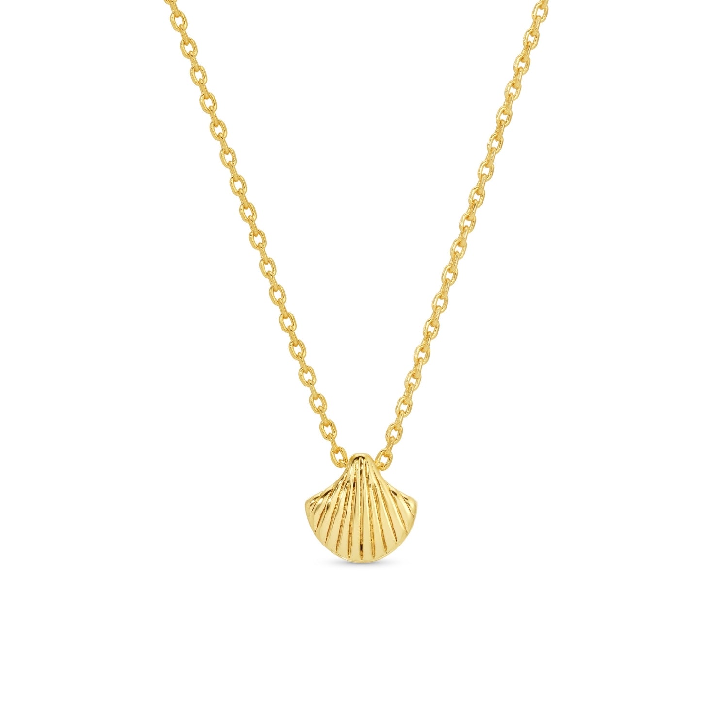 Sweetest Shell Necklace - Splendid Iris