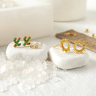 Cactus Velvet Stud Gift Set - Splendid Iris