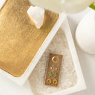 Cactus Velvet Stud Gift Set - Splendid Iris