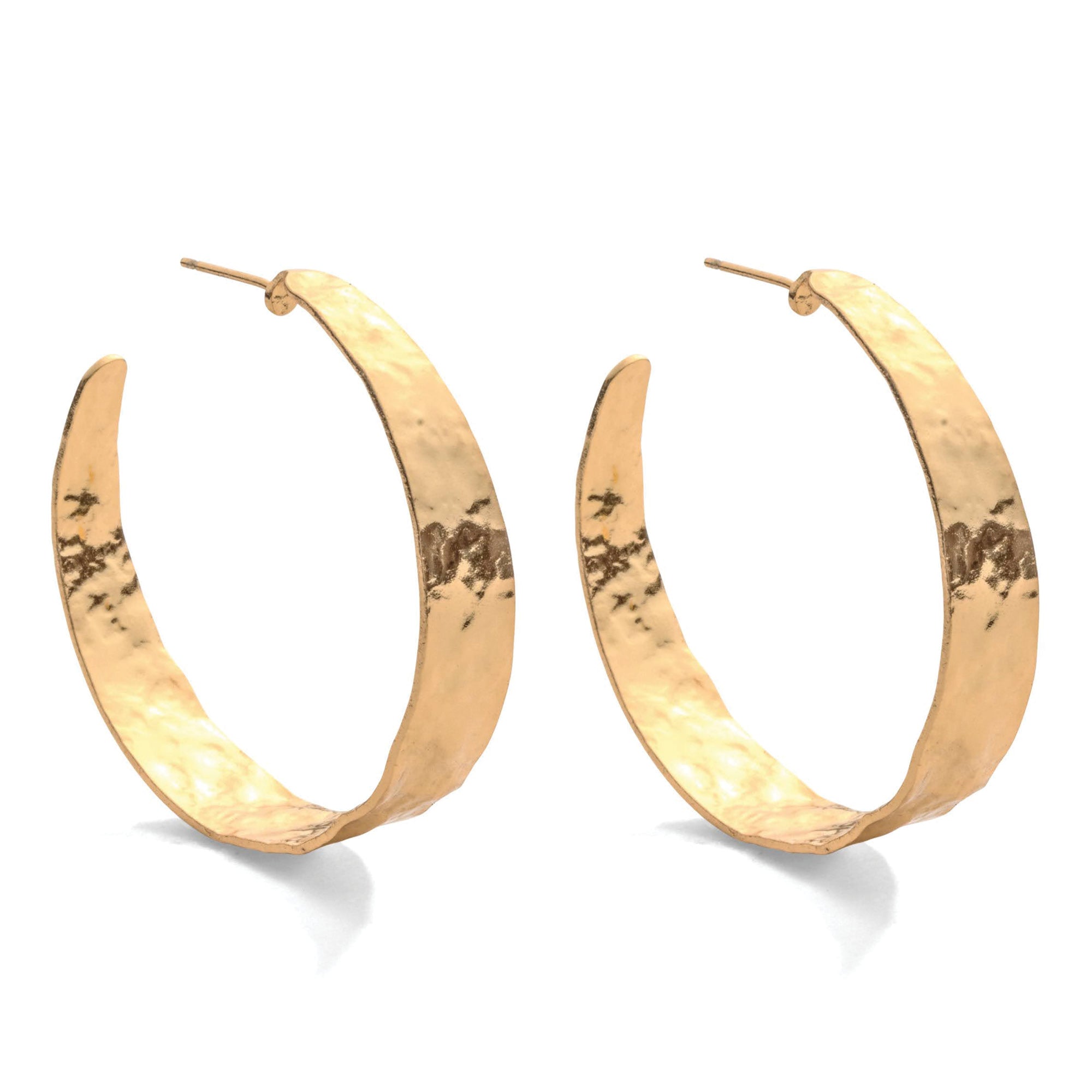 Gilded Hoops - Splendid Iris