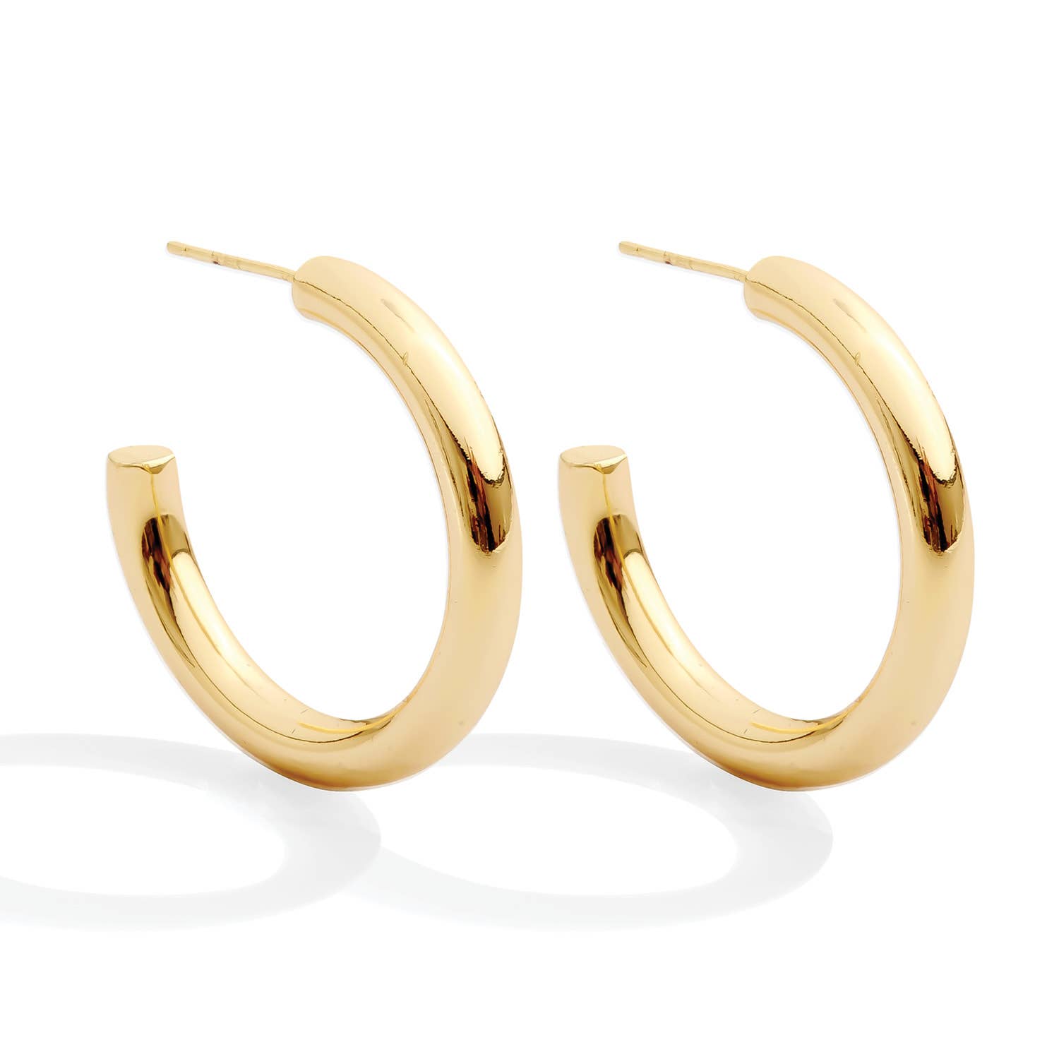 The Perfect Hoop Earrings - Splendid Iris